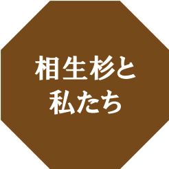 相生杉と私たち