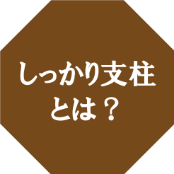 しっかり支柱とは？