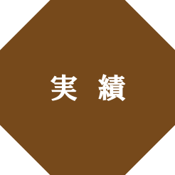 実績